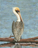 Pelican in Blue 30x24